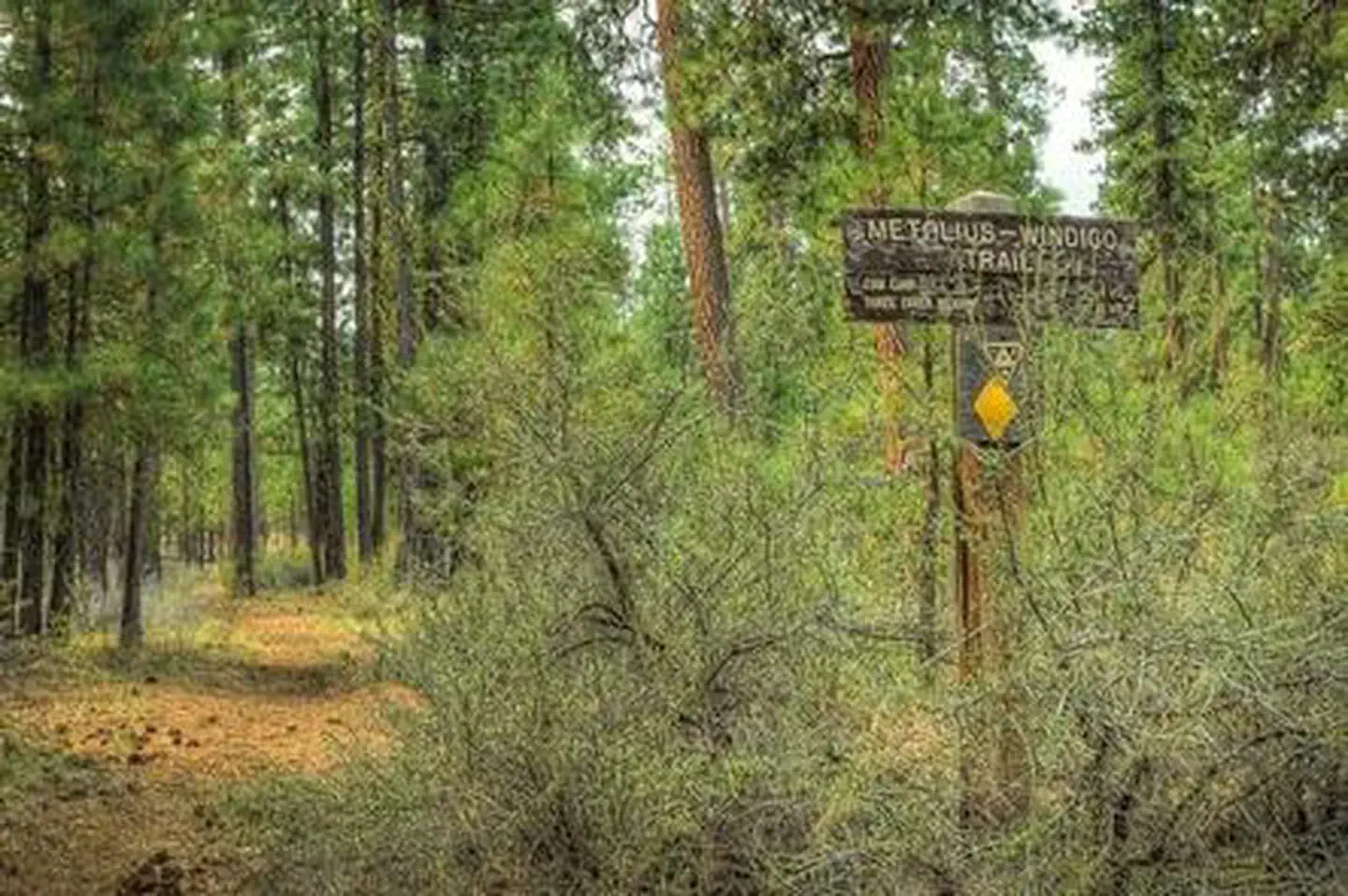 Graham Corral Horse Campground