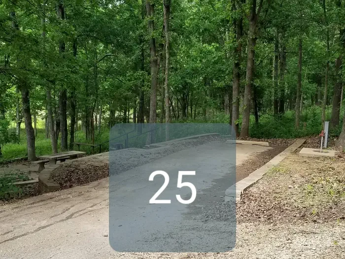 25