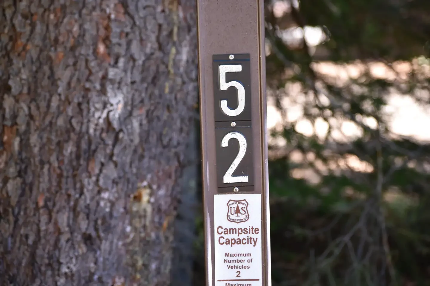 52