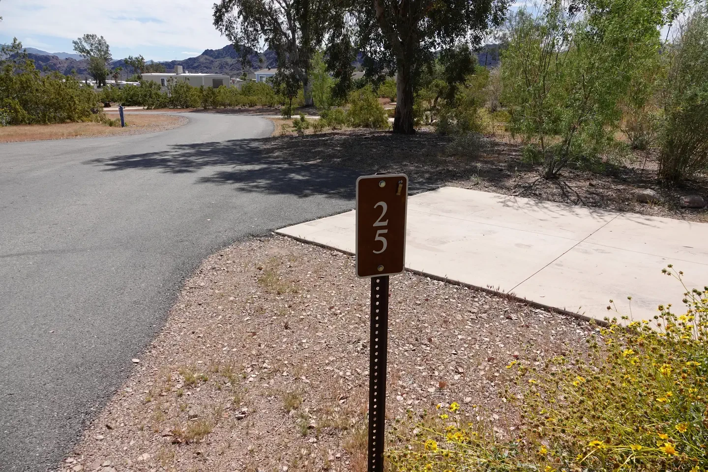 Site 25