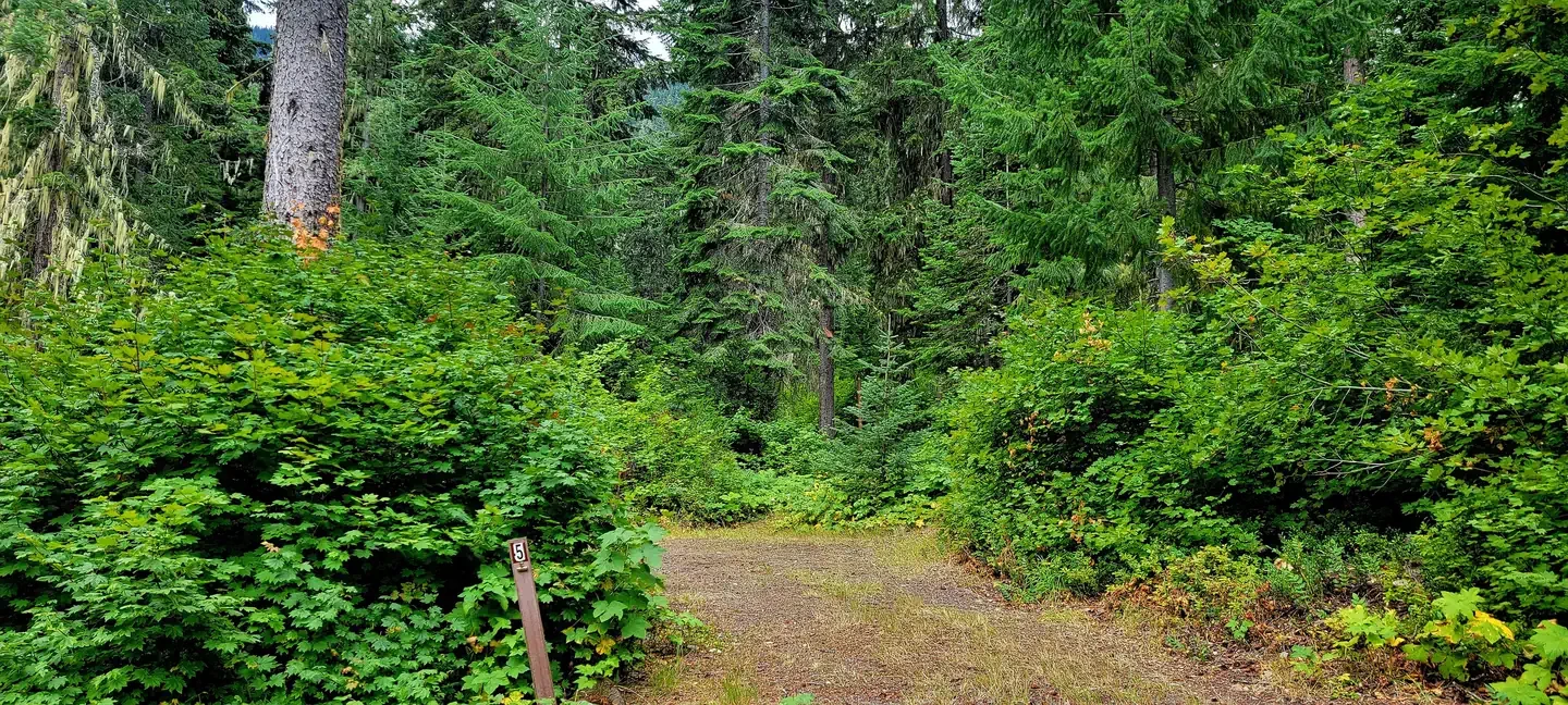 Blackpine CR Horsecamp