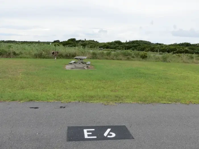E006