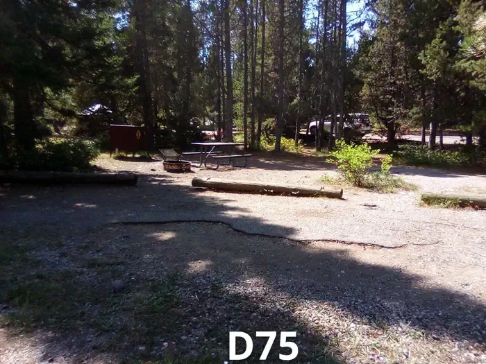 75