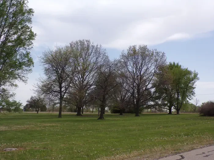 Canning Creek