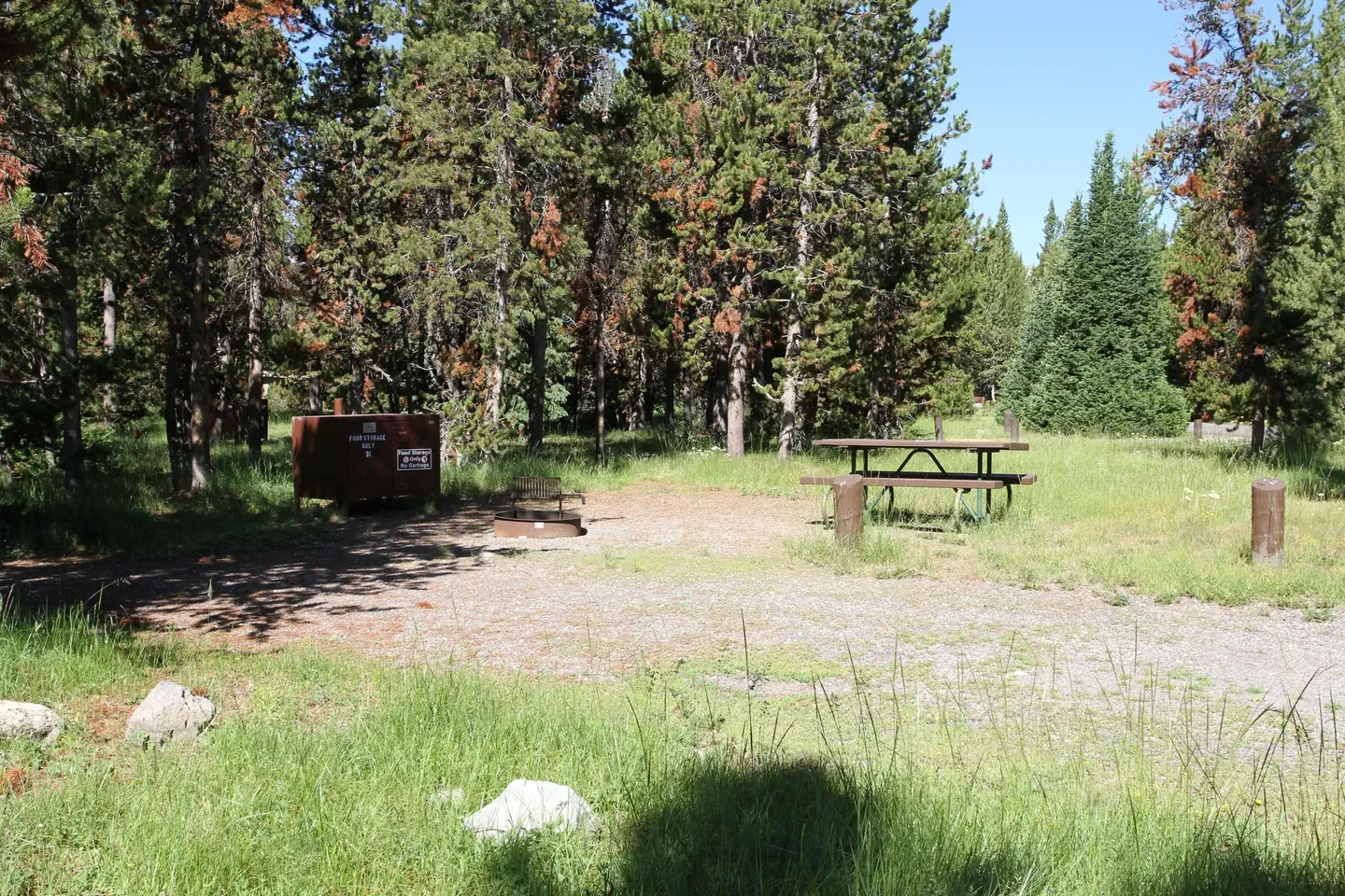 Indian Creek site #31
