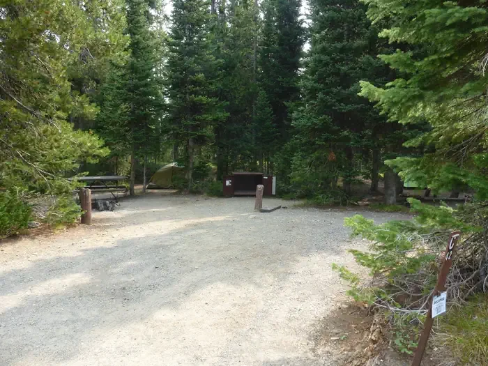 Lewis Lake site #42