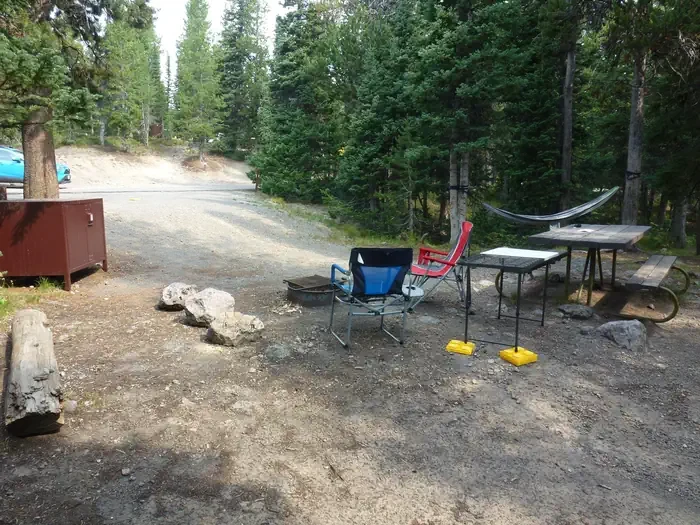 Lewis Lake site #82