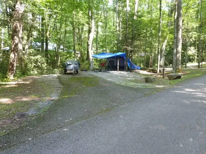 M06