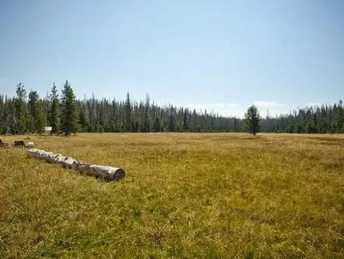 Quinn Meadow Horse Camp