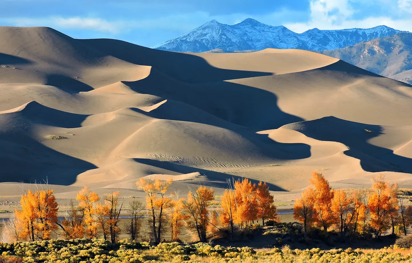 Great Sand Dunes National Park & Preserve