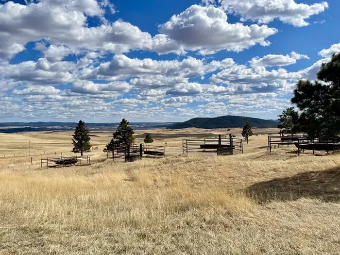 Sundance Horse Camp