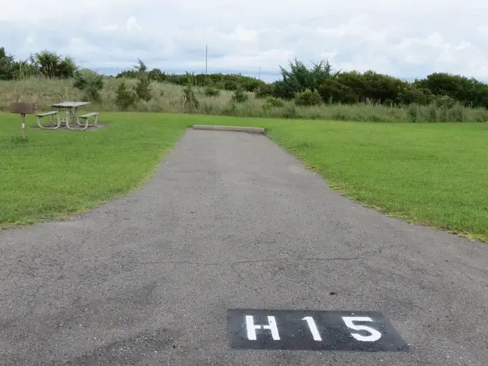 H015