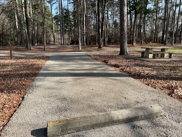 80