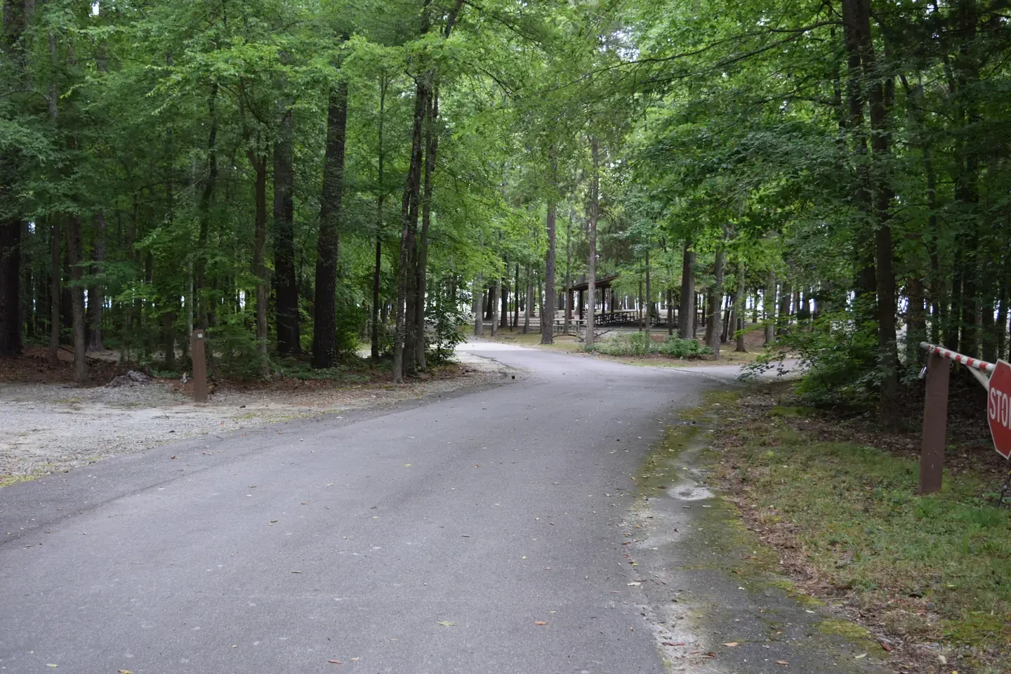 Piney Woods Group Camping Area