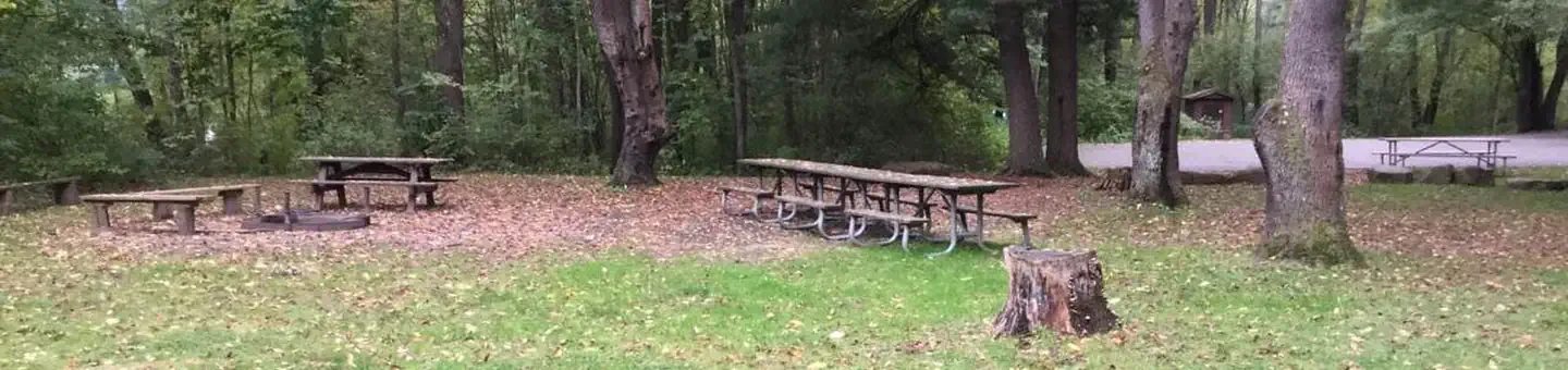 Group Site
