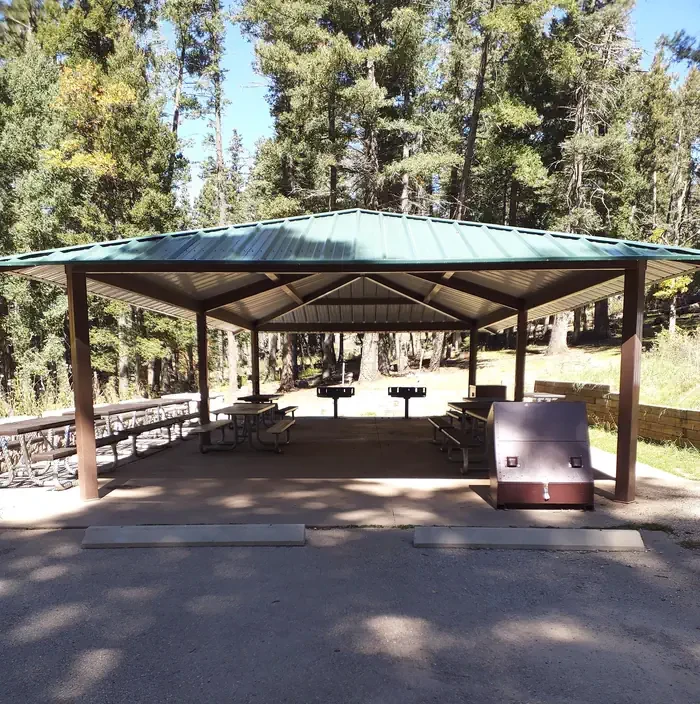 Aspen Group Area (Lincoln National Forest, NM)