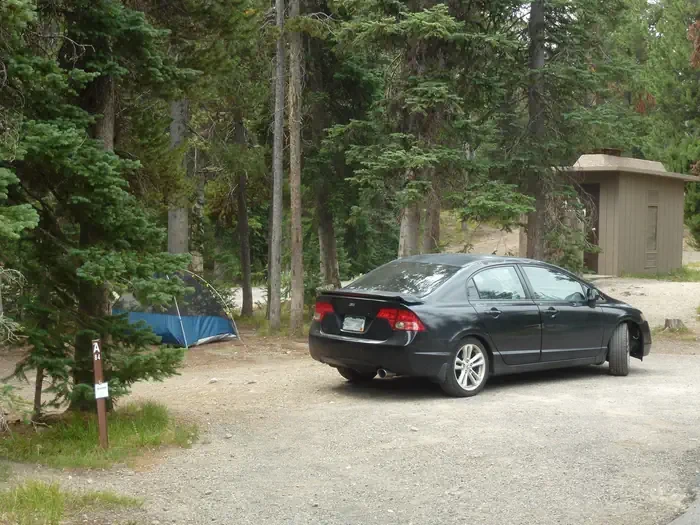 Lewis Lake site #84