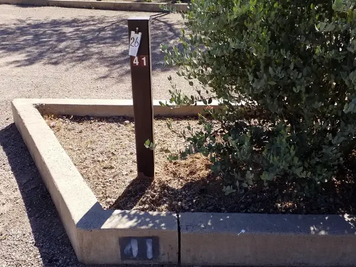 41