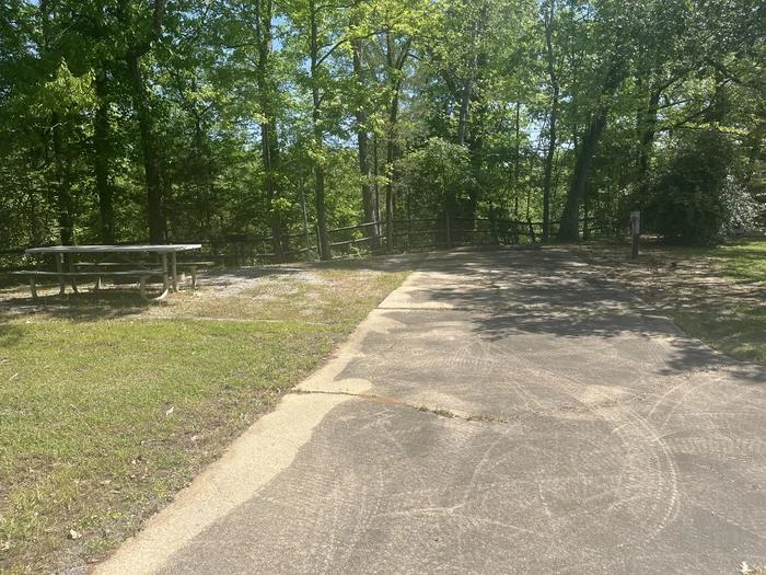 Site 15