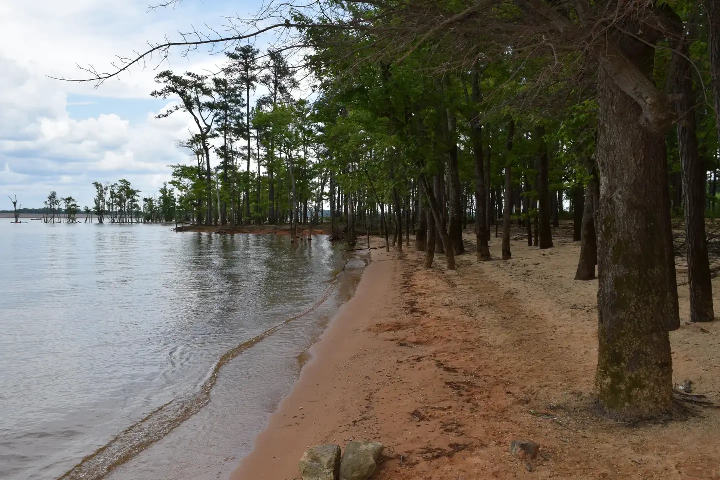 Piney Woods Group Camping Area