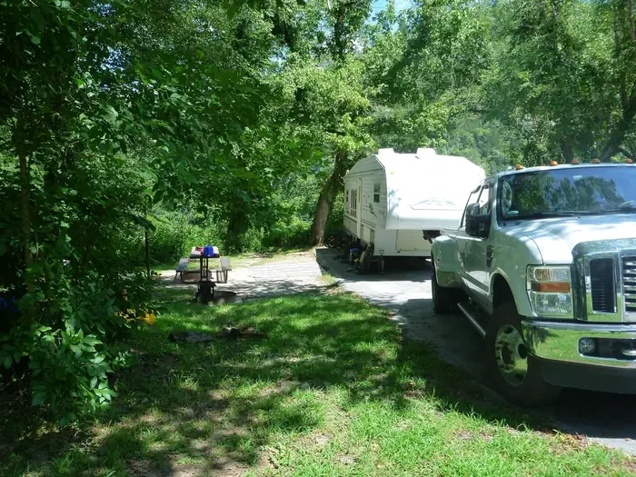 B31