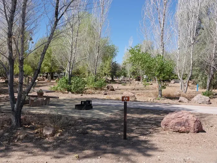 Site 89