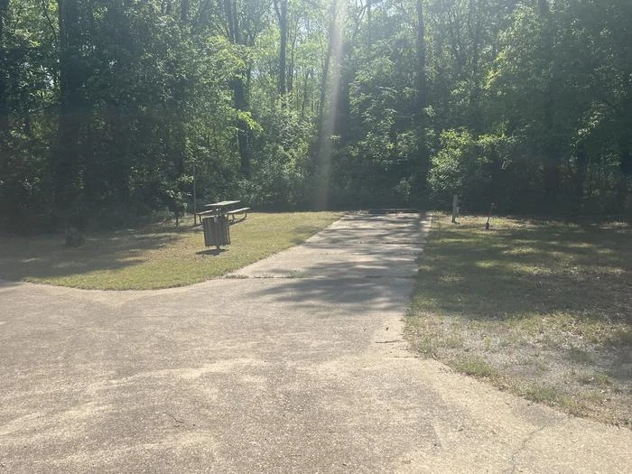 Site 43