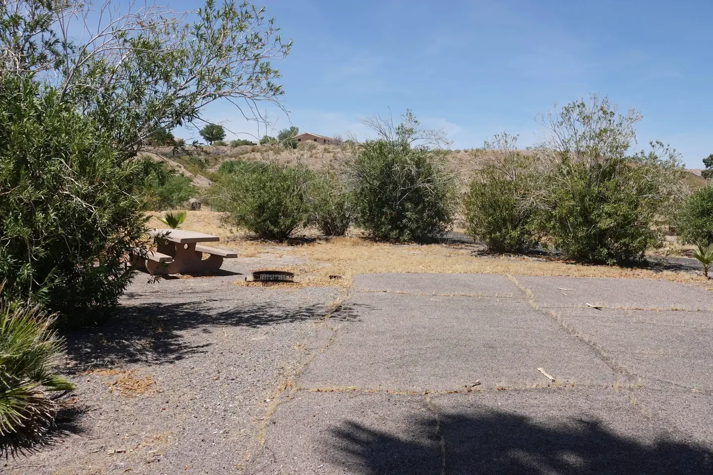 Site 23