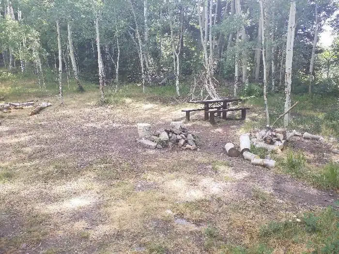 Dawson Cabin