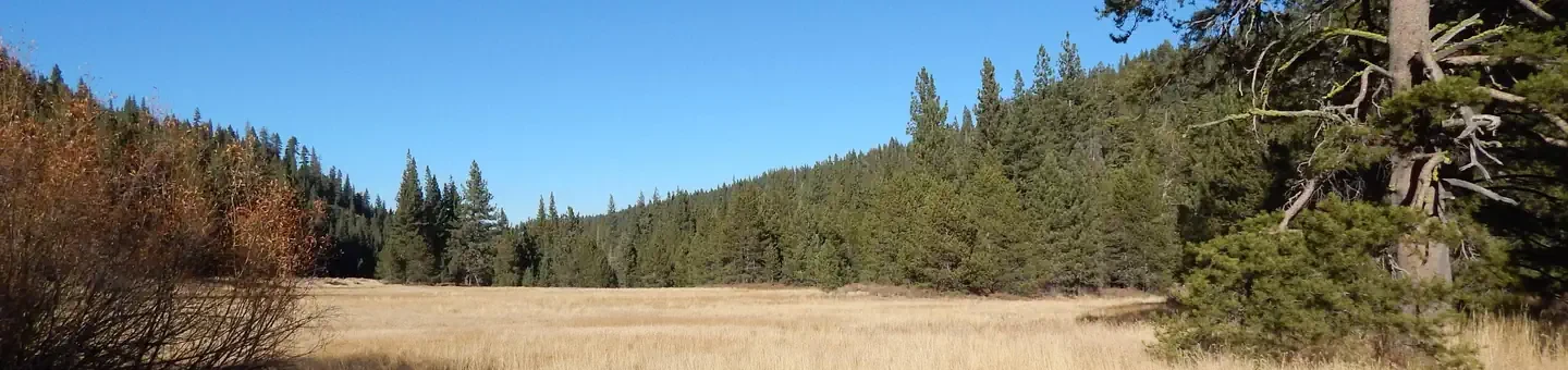 Goose Meadows