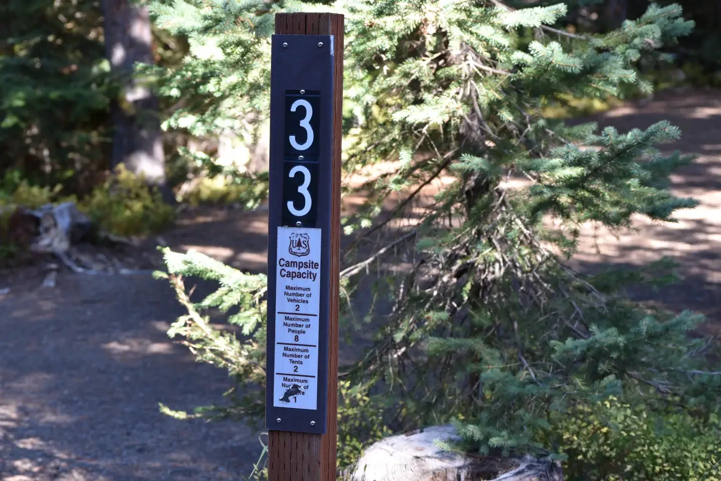 33