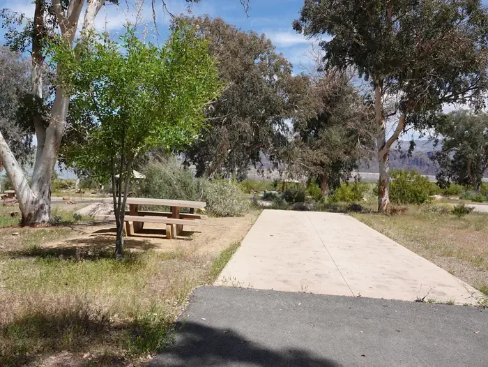 Site 59