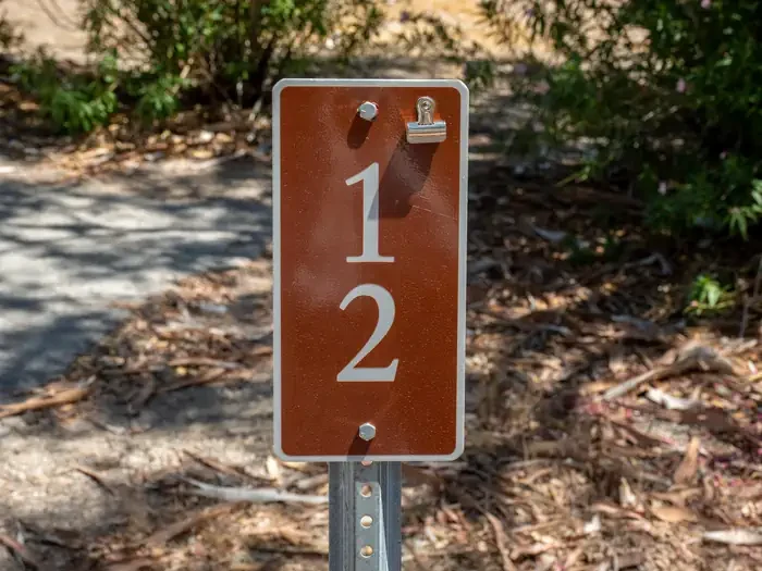 Site 12
