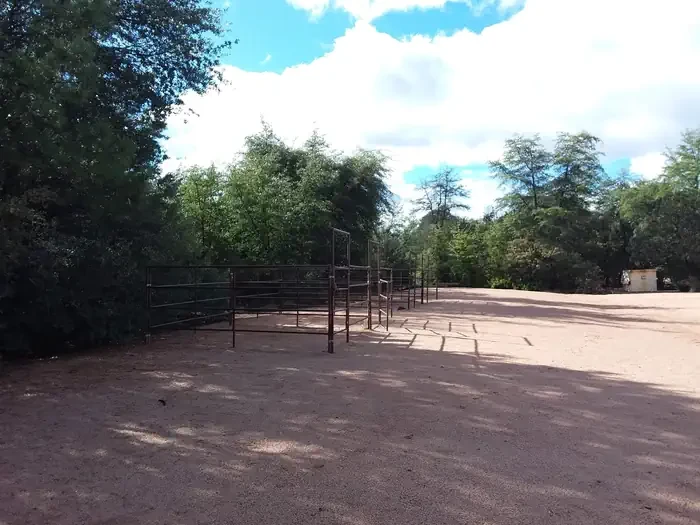 Group Site 2