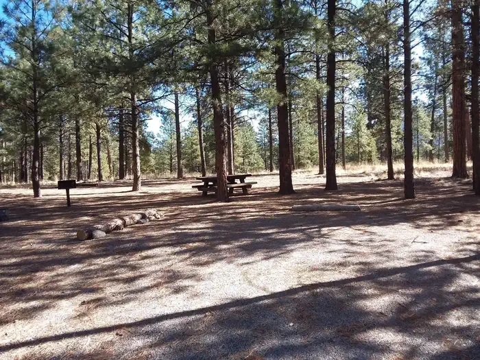 Jemez Falls Campground