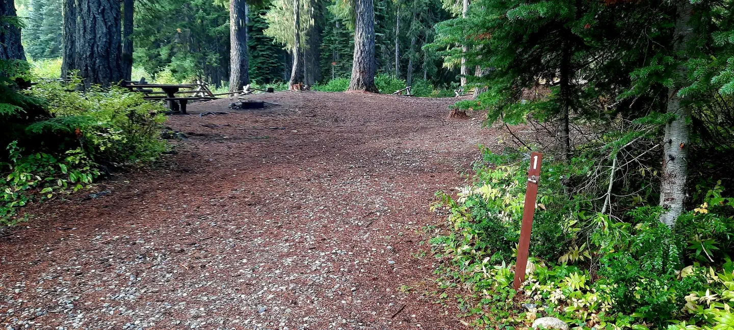 Phelps Creek Campground