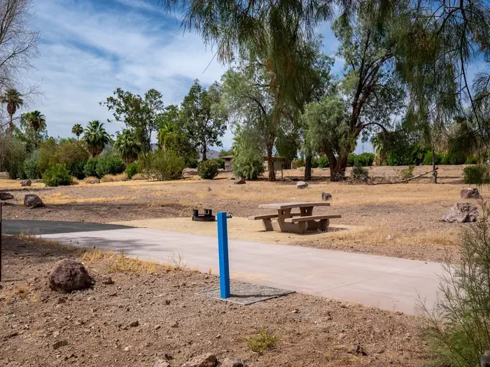 Site 133