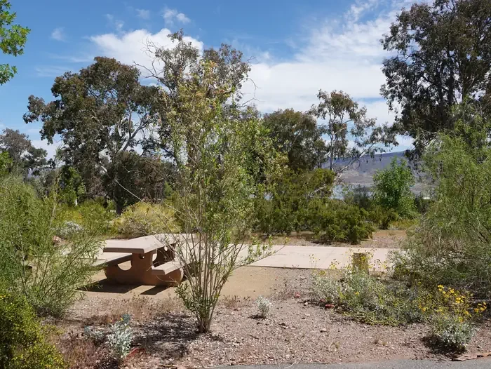 Site 30