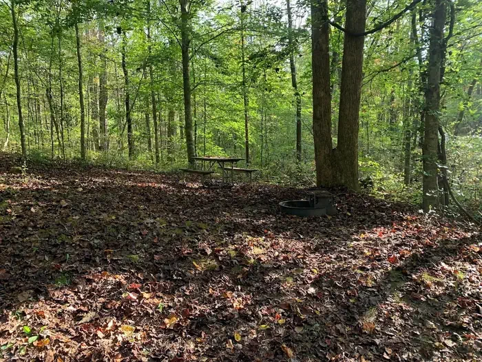 D-29
