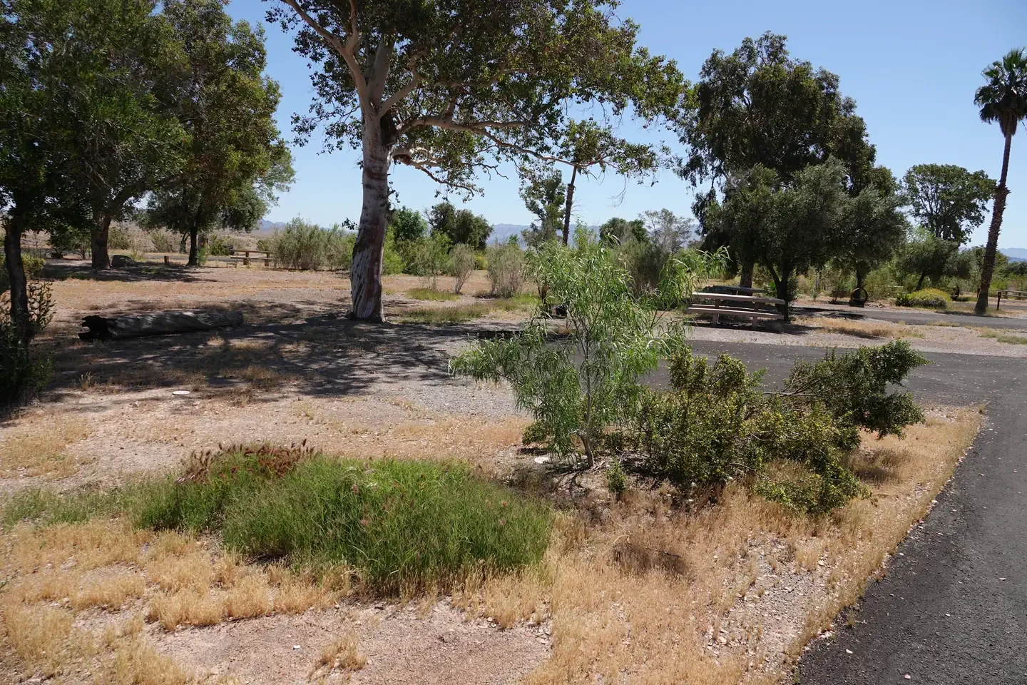 Site 4