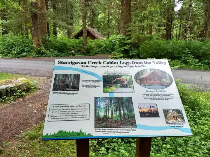 Starrigavan Creek Cabin