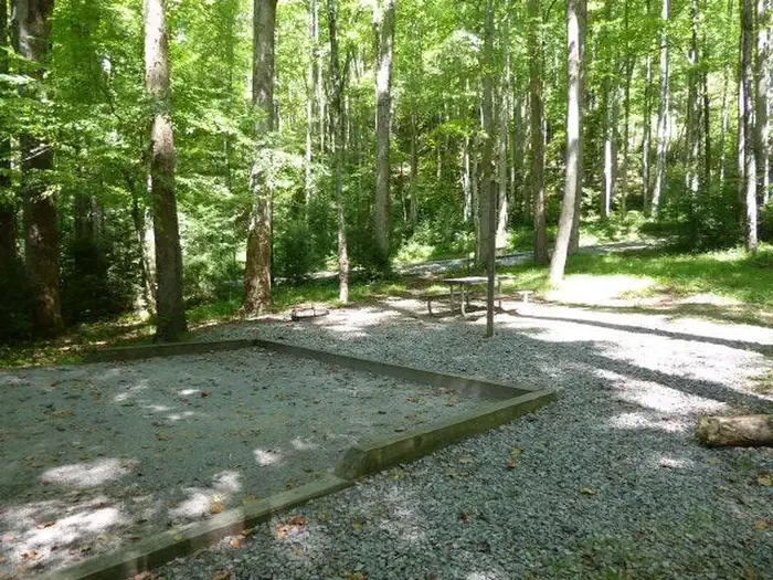 B36