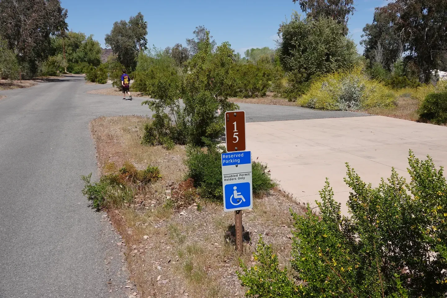 Site 15