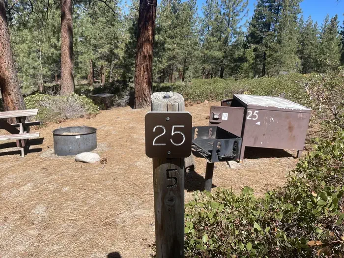 25