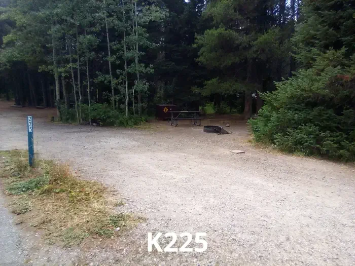 225