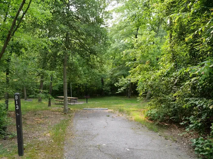 B13