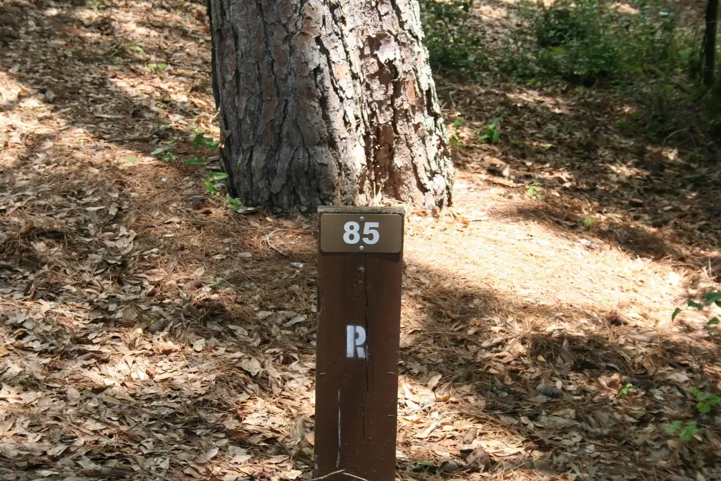 085
