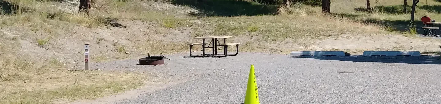 007