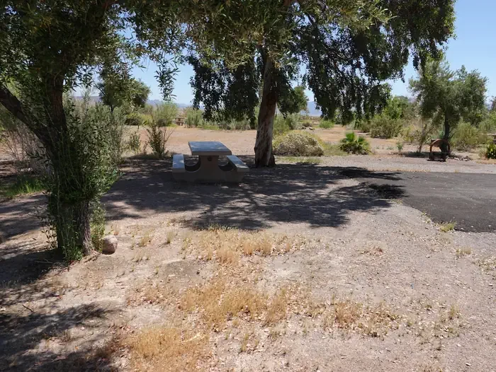 Site 5