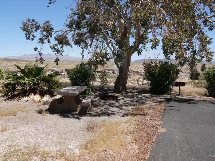 Site 42
